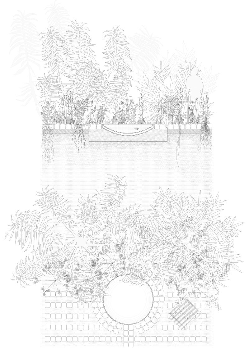 
# jardin privé - Montreuil (FR)

- Phases: Etude - Mission complète
- Surface: 60m2
- Maitrise d’ouvrage: privée

Ce jardin en intérieur d’îlôt est pensé pour renforcer le sentiment d’intimité
et de calme préservé. Le projet consiste à dessiner un chemin de l’eau au sol permet-
tant de drainer le pied de la façade principale et de récupérer les eaux de
pluies dans un bassin en fond de cuve. On distingue deux palettes végétales: L’une plu-
tôt composée de fleurs et vivaces le long de la façade de la maison composant
un mix border assez simple dans la diversité de sa composition. L’autre, sur les
contours de la parcelle, regroupe surtout des essences foisonnantes sub-tropi-
cales créant un écran pour le voisinage. Le sol en pavés enherbés rapelle l’am-
biance du quartier. Il permet une meilleure infiltration, renforce l’aspect
naturel du jardin et permet d’unifier entre eux les différents éléments qui le
constitue.
